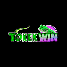 TOKEKWIN - Aplikasi Promo & Kupon Terbaik untuk Belanja